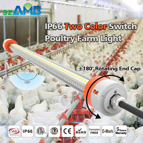 9w led tube light t8 34